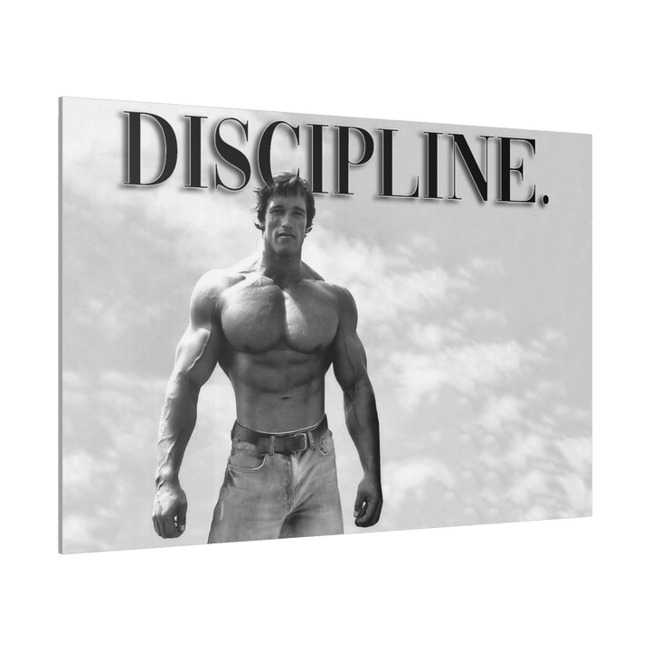 Canva disciplina