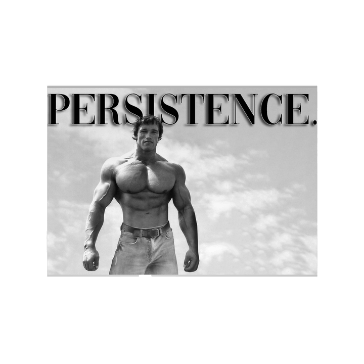 Persistence posters
