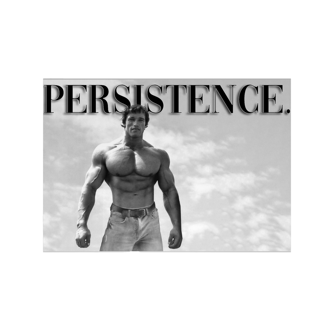 Persistence posters